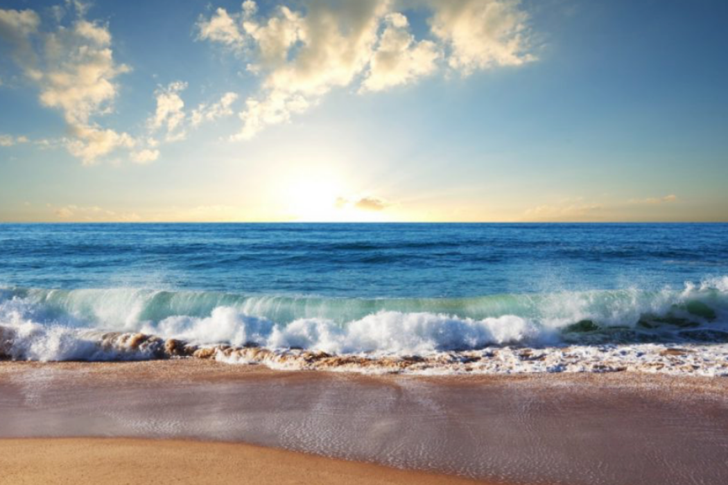 Una persona rilassata seduta sulla sabbia mentre osserva l'orizzonte marino al tramonto con una confezione di Bioserenio.